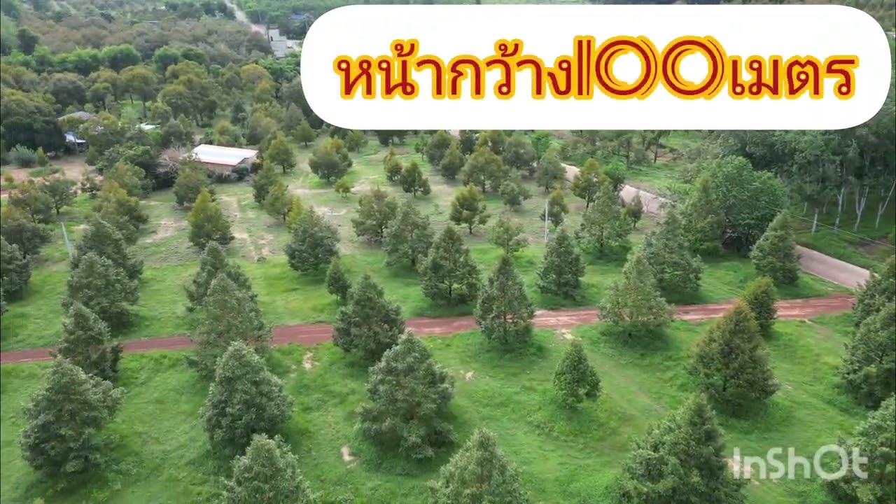 Ep.60ทุเรียนหมอนทอง พร้อมผลผลิต พิกัด ต.พลงตาเอี่ยม อ.วังจันทร์ จ.ระยอง @pp3376