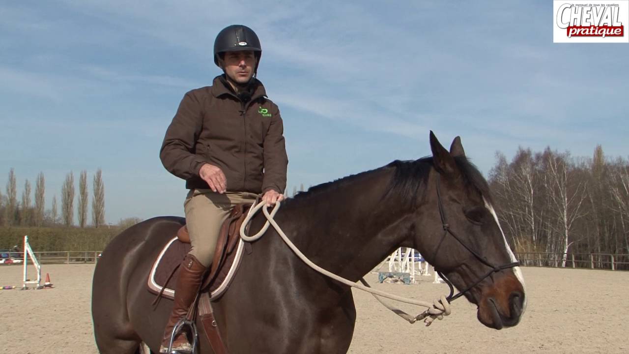 303 controler son cheval