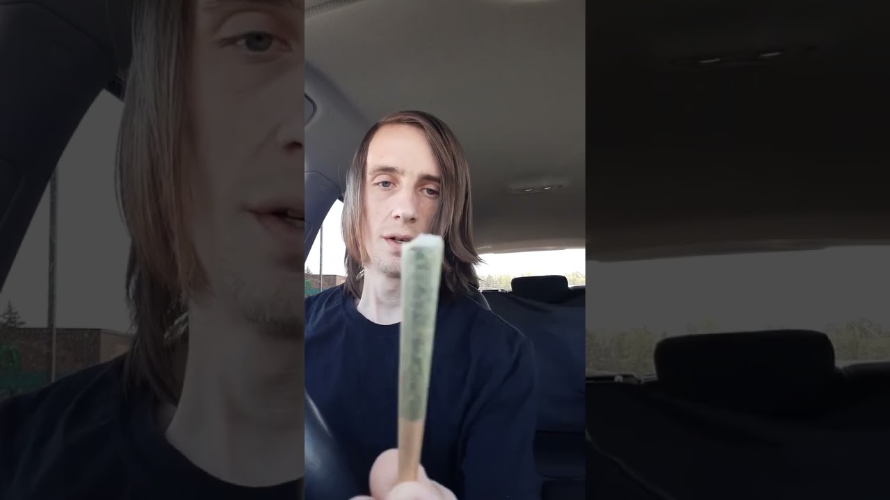 RISE DISPENSARY white Durban Preroll review @RISEDispensaries #420 #cannabiseducation #shorts