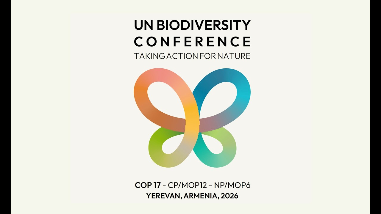 Приветственное слово к COP 17