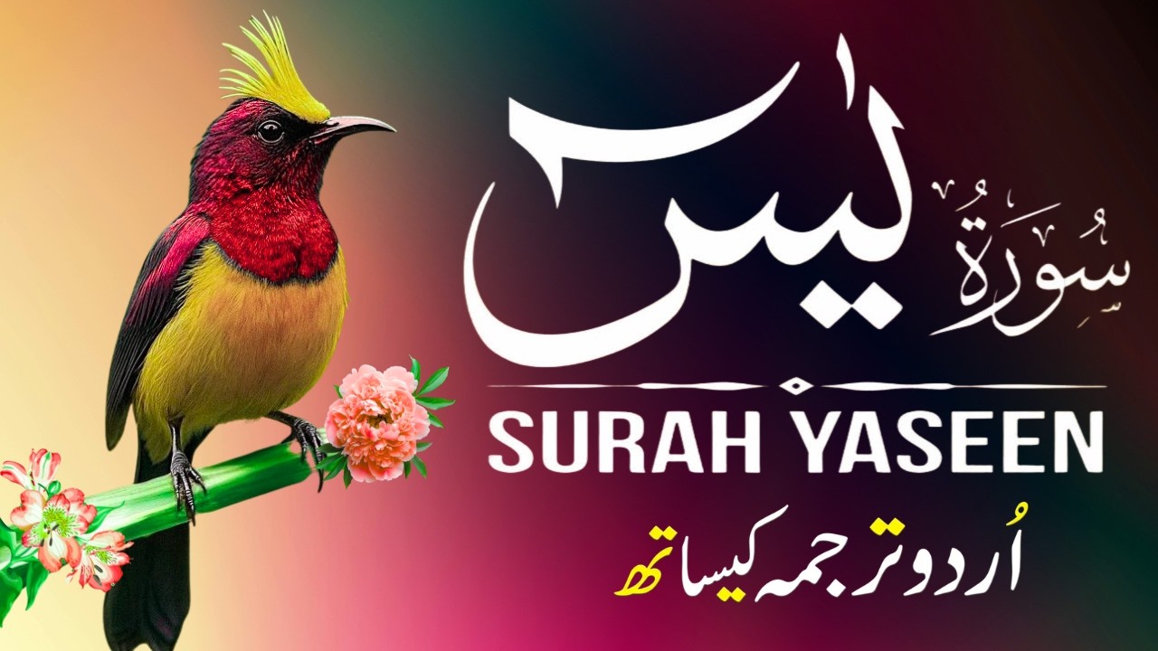 Surah Yaseen | Surah Yaseen With Urdu Translation | Al Furqan Studio | Ep112