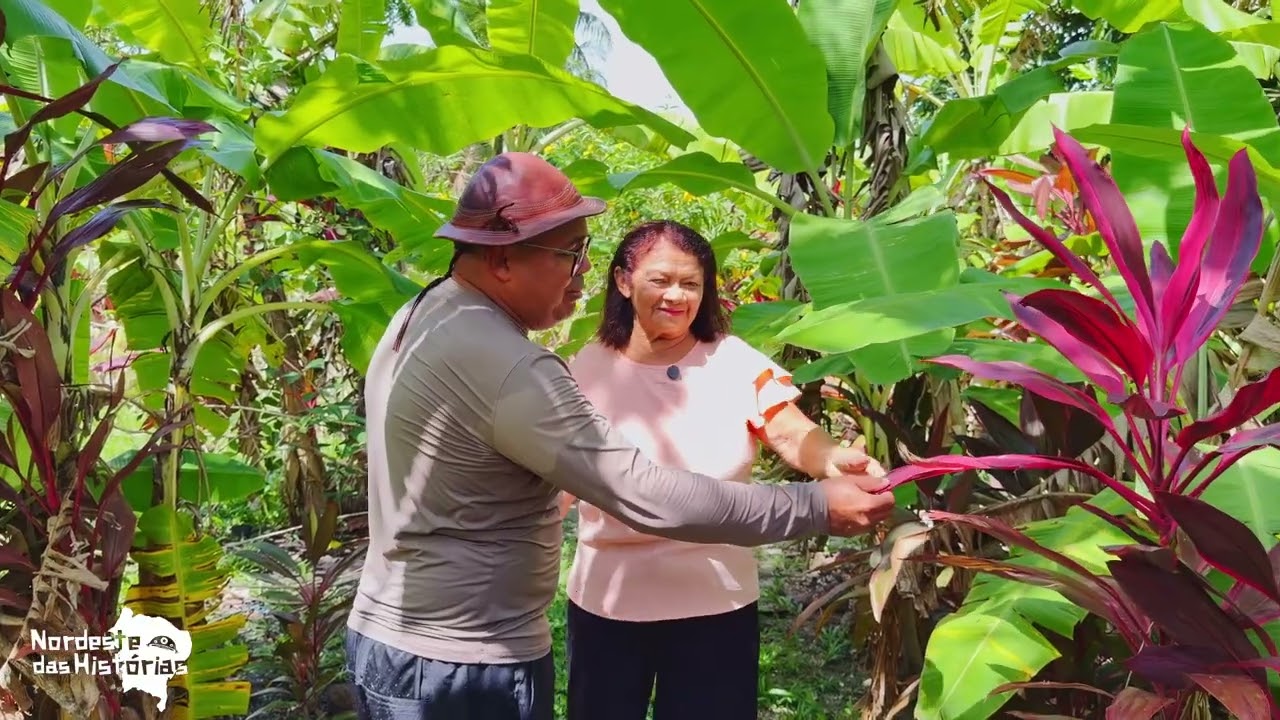 Nordeste das Histórias - 22/02/2026 | O PARAÍSO DAS ÁGUAS