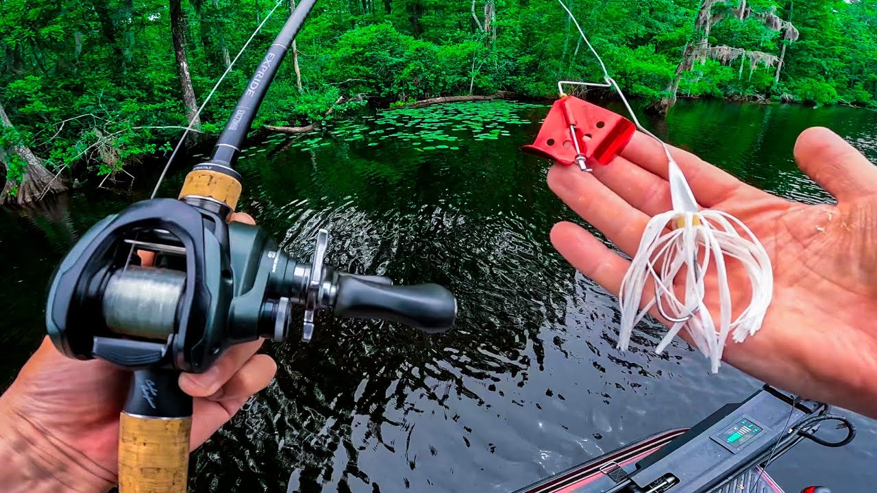 Explosive Topwater Fishing All Day Gives me my Best Finish || Chowan River Elite 70 Alpha Series