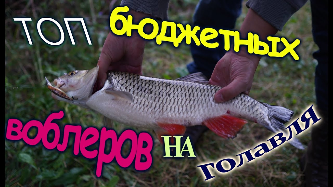 ТОП бюджетных воблеров на ГОЛАВЛЯ
