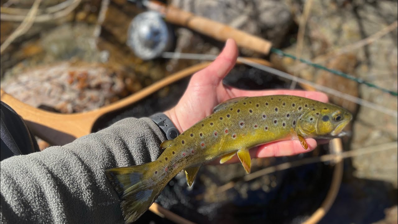 Pesca a Mosca Sul Gennargentu. Sardegna 2023
