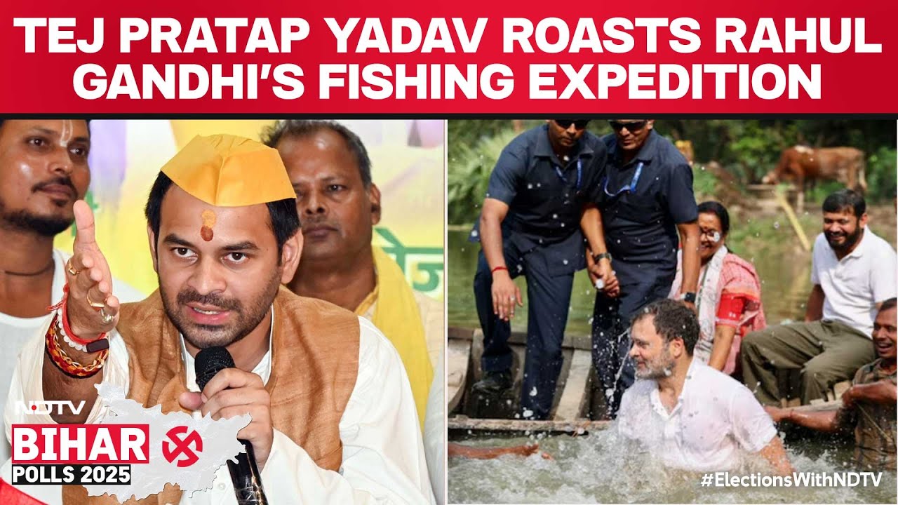 Tej Pratap Yadav Bihar | 'Become A Cook': Tej Pratap Yadav, BJP Roast Rahul Gandhi's Fishing Act