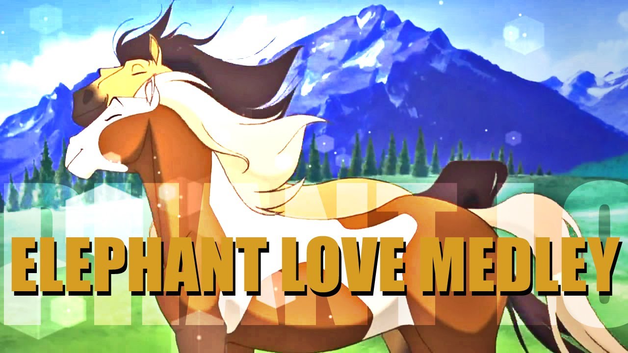 Elephant Love Medley | MEP