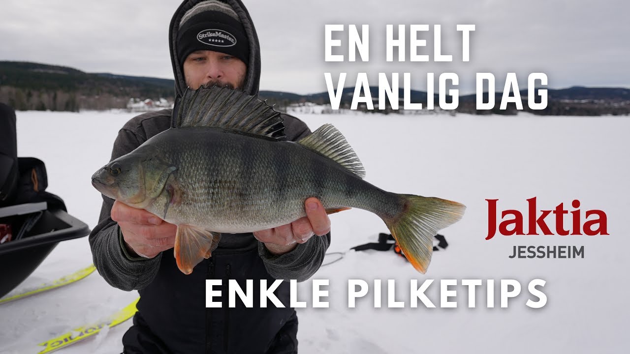 En helt vanlig dag - Pilketur med enkle tips. Isfiske med ståsnøre og aktivt fiske