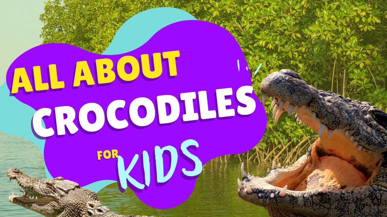 All About Saltwater Crocodiles - Facts for Kids