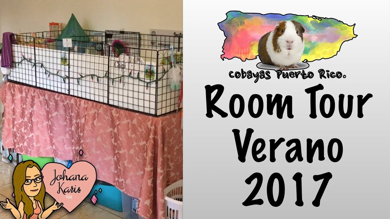 Room Tour: Verano 2017🌴🐹 | Cobayas Puerto Rico