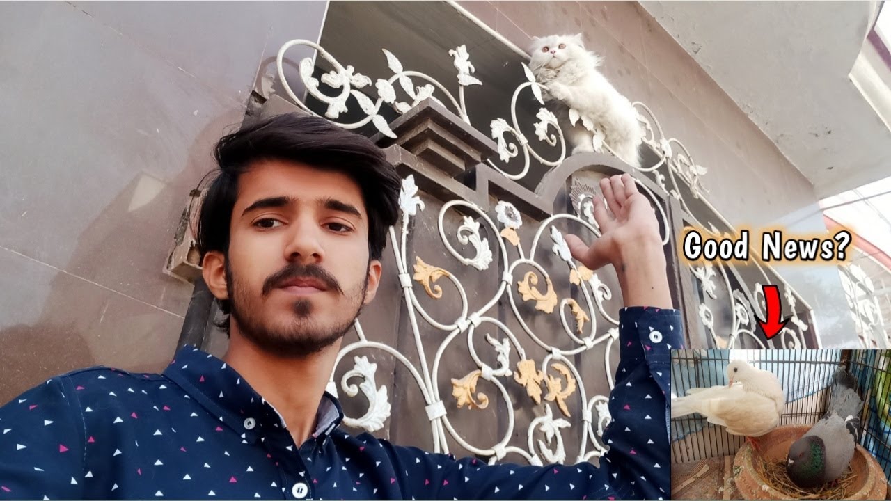 Max Ke Naye Karname | Laila Majnu Good News?🤭 | Rehan & Max