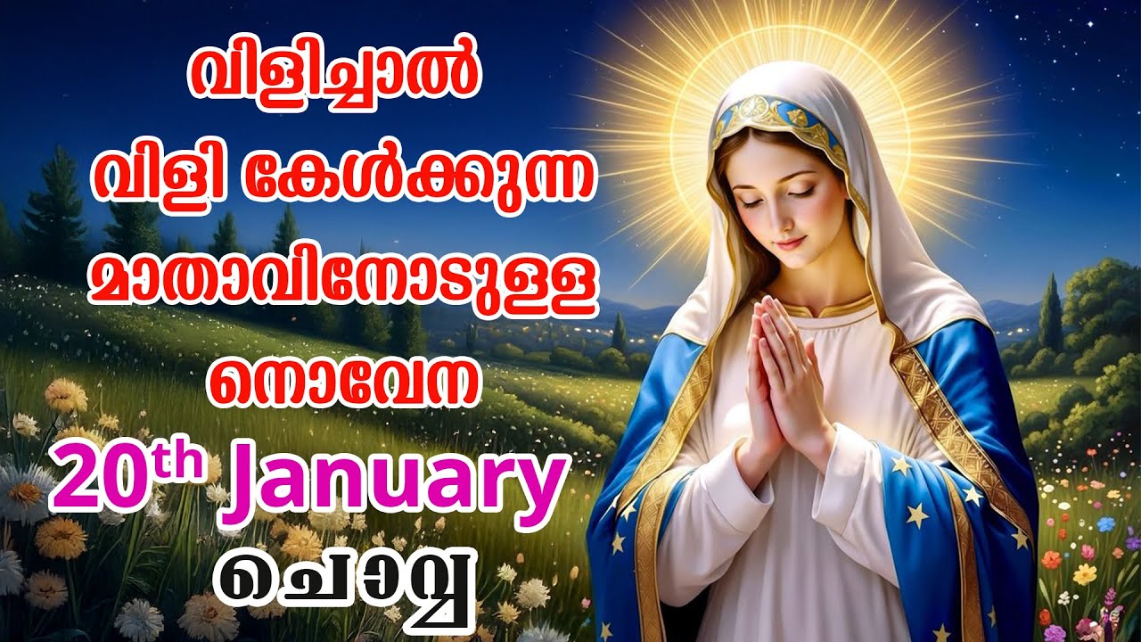 20th January 2026 | വിളിച്ചാൽ വിളി കേൾക്കുന്ന മാതാവിന്റെ നൊവേന  | VachanamTV #novenaprayer #novena