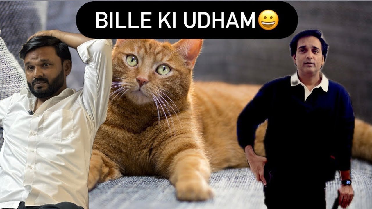 Or lo billa palo billa Anna 🤣