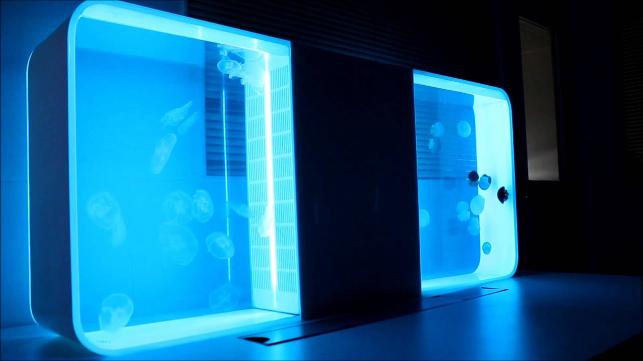 Two Cubic jellyfish aquariums back to back