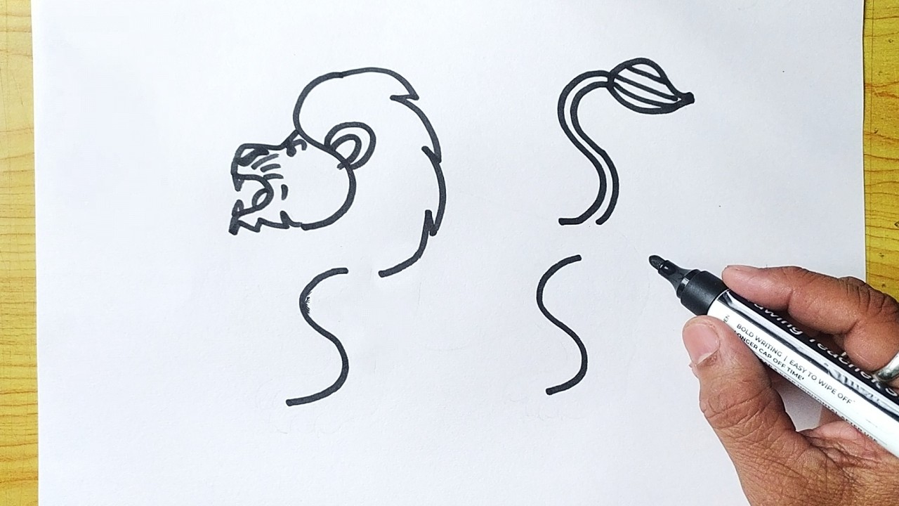 Lion Drawing Soooper Simple...