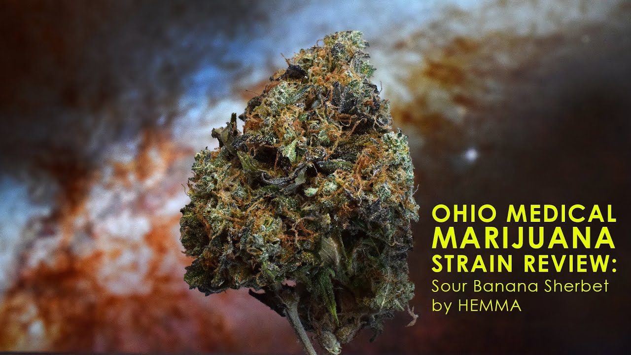 Ohio Medical Marijuana Strain Review: Sour Banana Sherbet by HEMMA