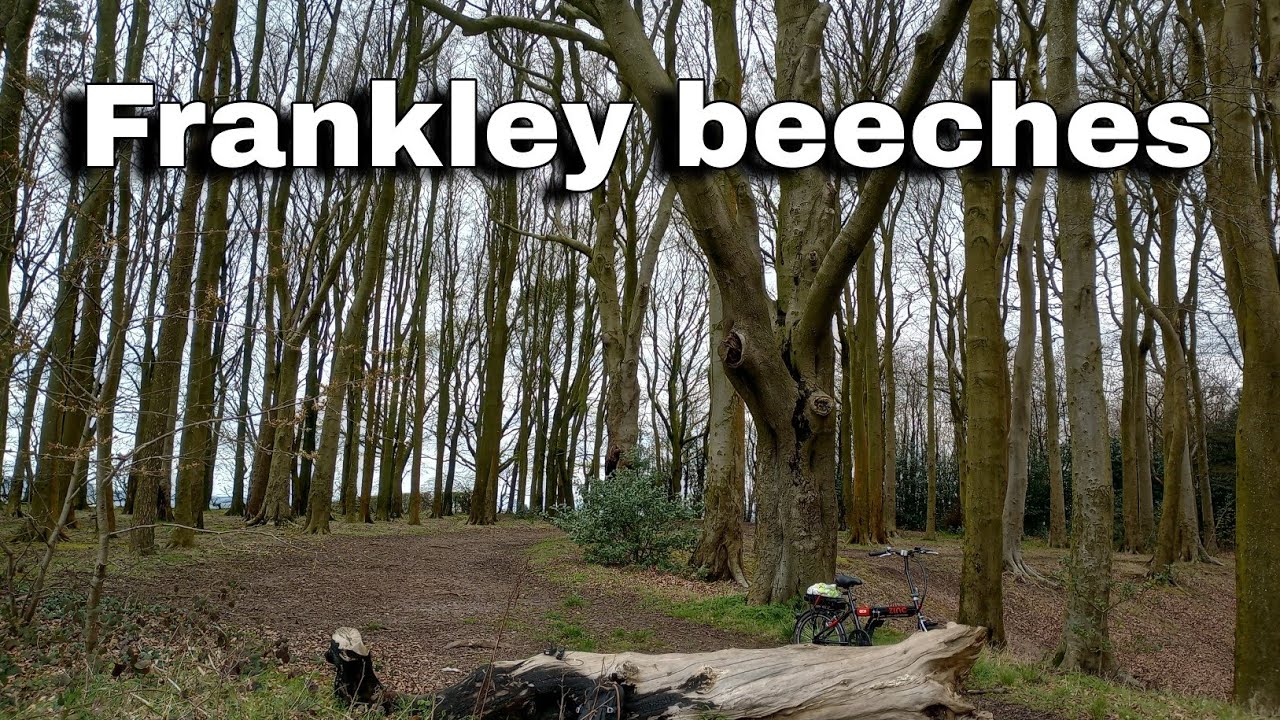 A explore of frankley beeches & Bartley reservoir