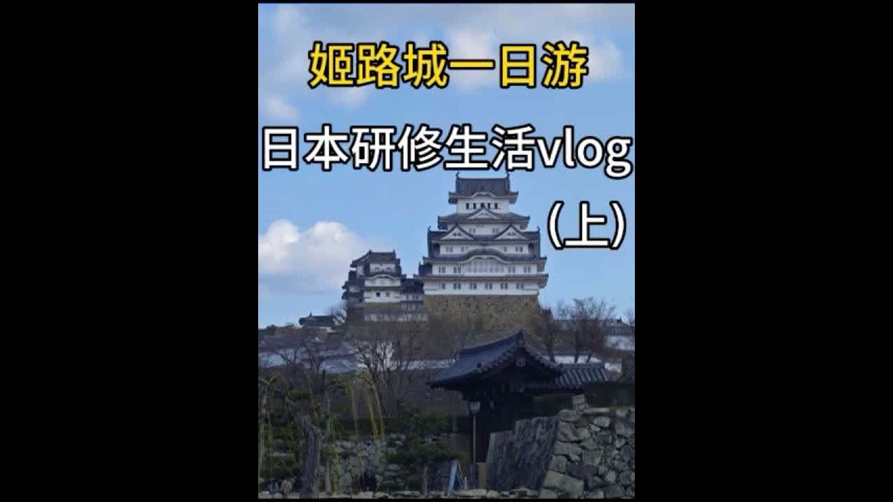 姬路城太震撼！第40届观樱会现场实录｜日本研修周末一日游(上)#日本打工#日本研修#日本生活#日本旅游#樱花