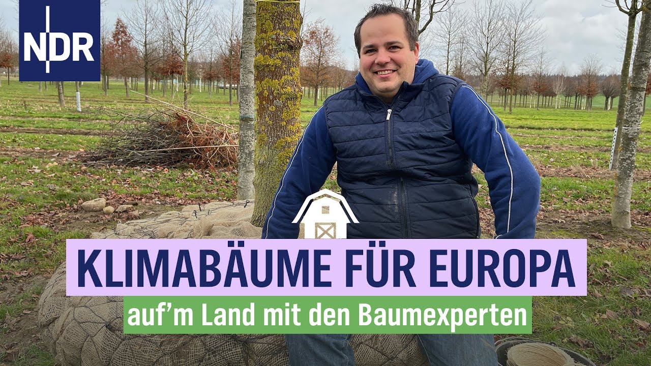 Klimabäume für Europa | Die Baumexperten | Folge 03