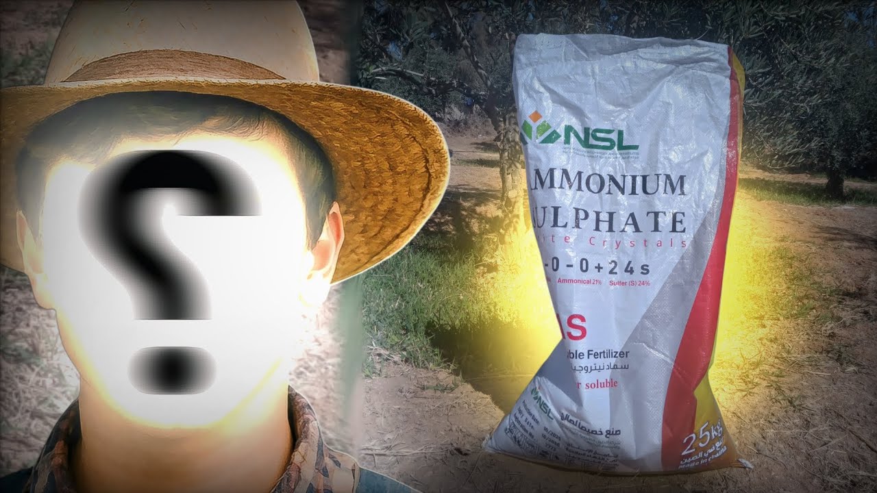 أفضل أنواع السماد الصناعي بالزراعه 🌱