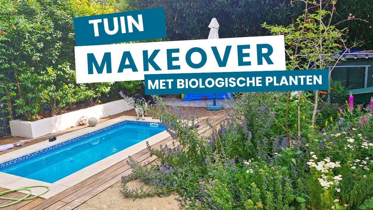 Tuin Renovatie met Zwembad:  Zo Maak je Een Droomtuin uit de Provence met een volledige makeover