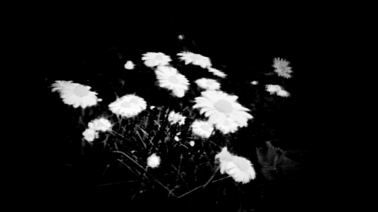 Bôa - Duvet [Acoustic] (slowed + reverb)