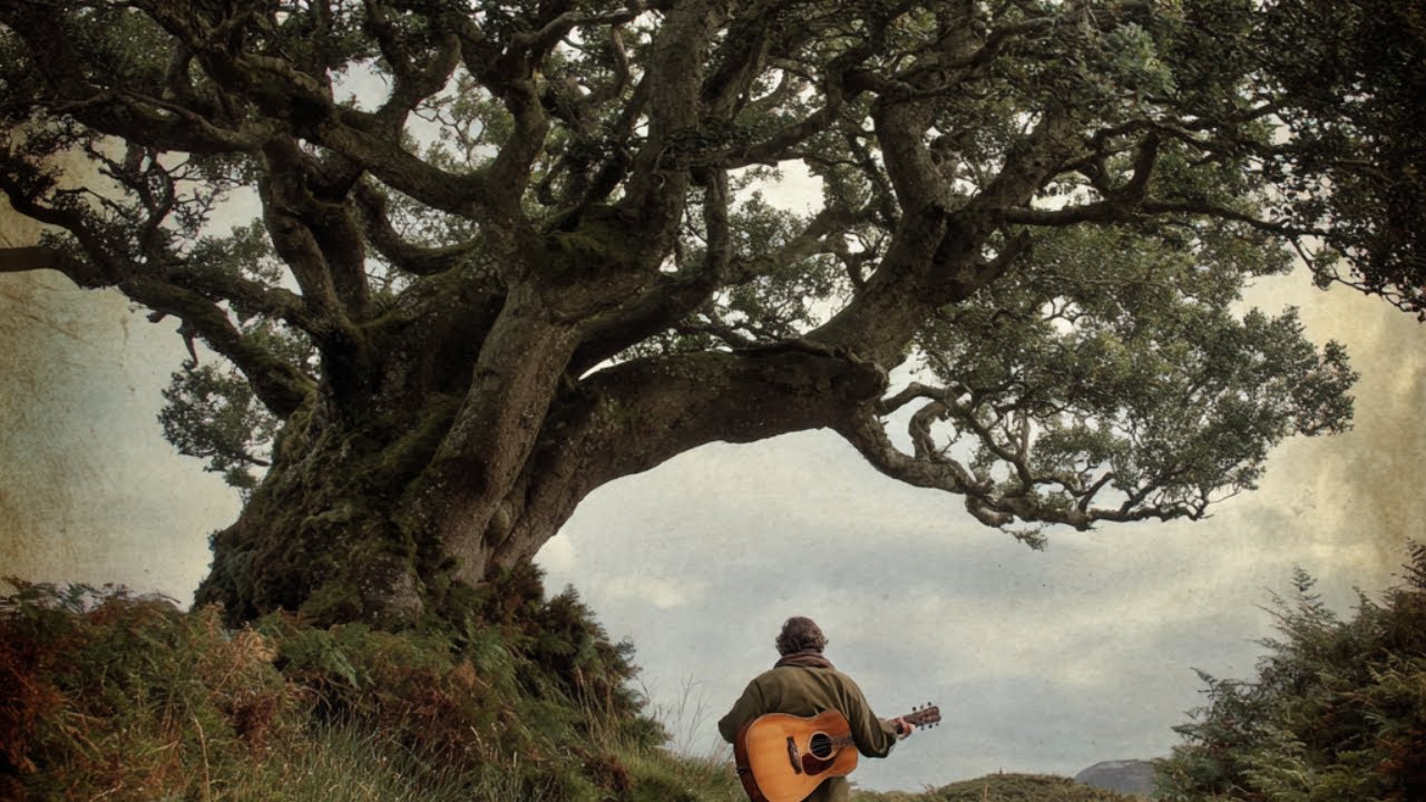 Crossroads Marked By Rowan Wood | Celtic Music Journey