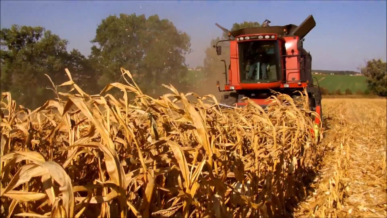 The corn vs case 5088