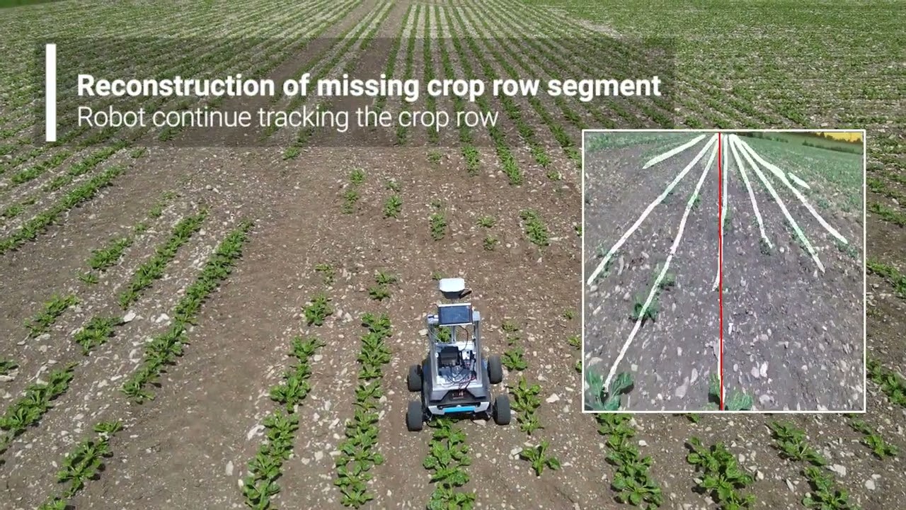 Deep learning‐based crop row detection for infield navigation of agri‐robots