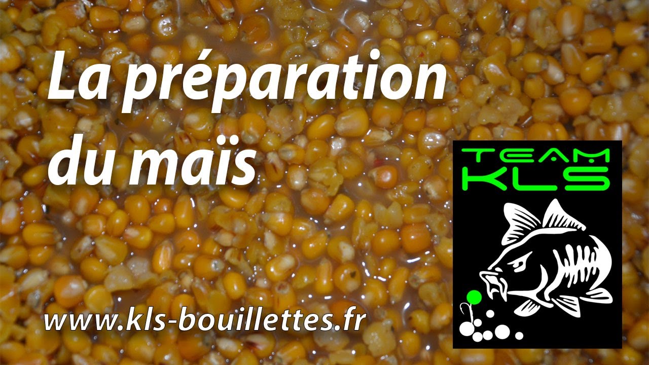 La cuisson du maïs pour la carpe