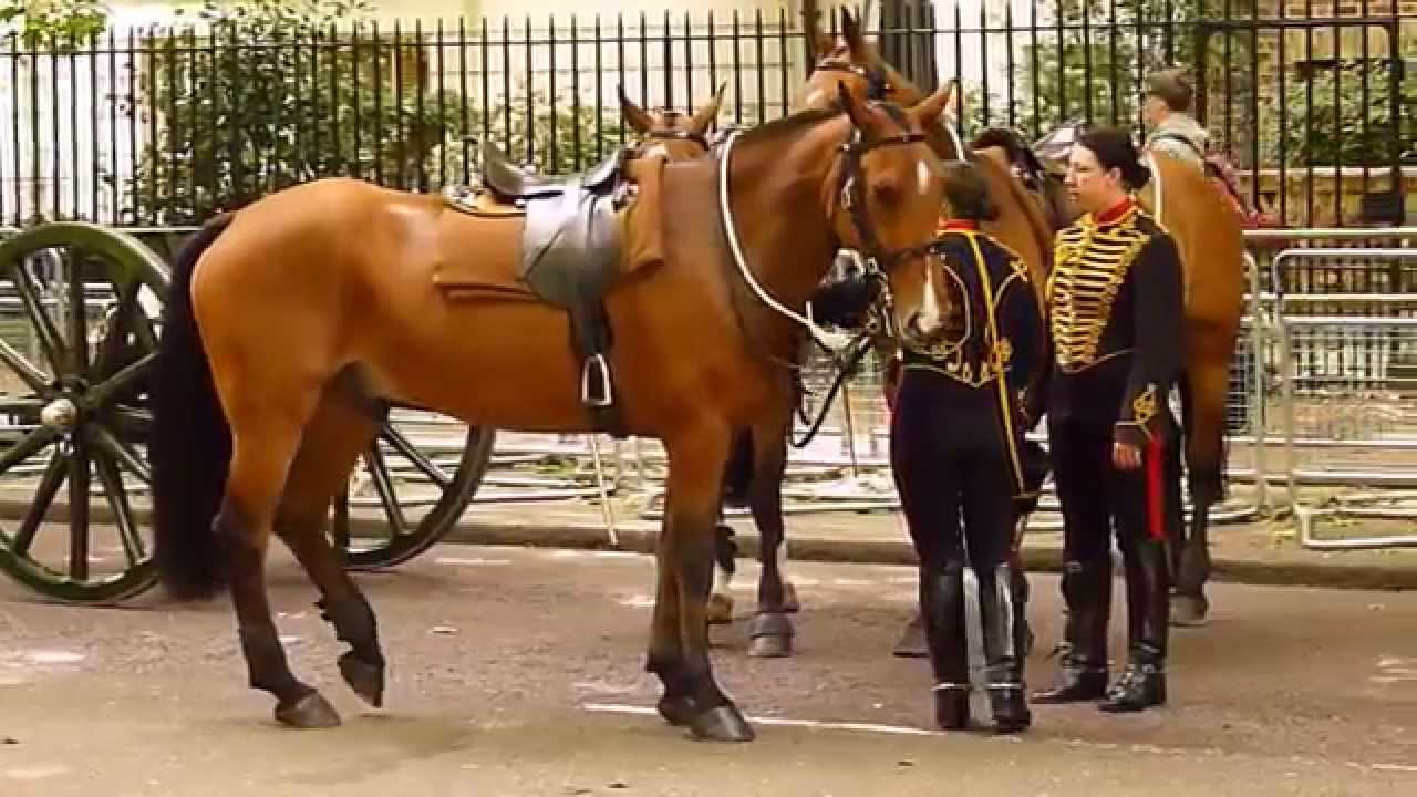 King's Troop on Birdcage Walk  03