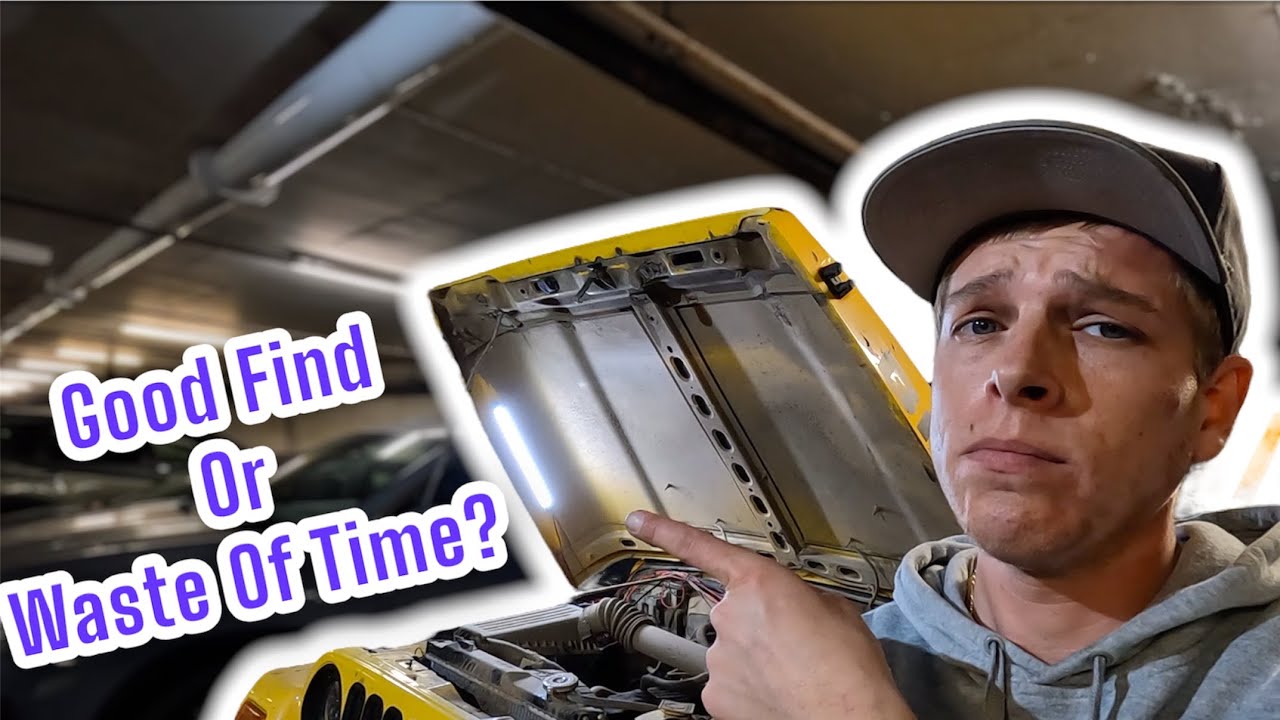 $20 AMAZON AUTOMATIC UNDER HOOD LIGHT!