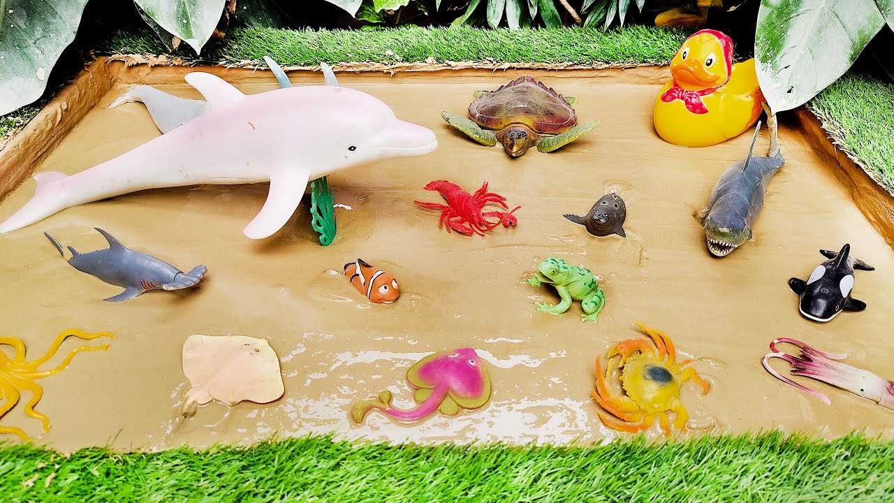 Plastic Toys Sea Animals Trapped in the Mud | Cleaning Fun with Sea Toys