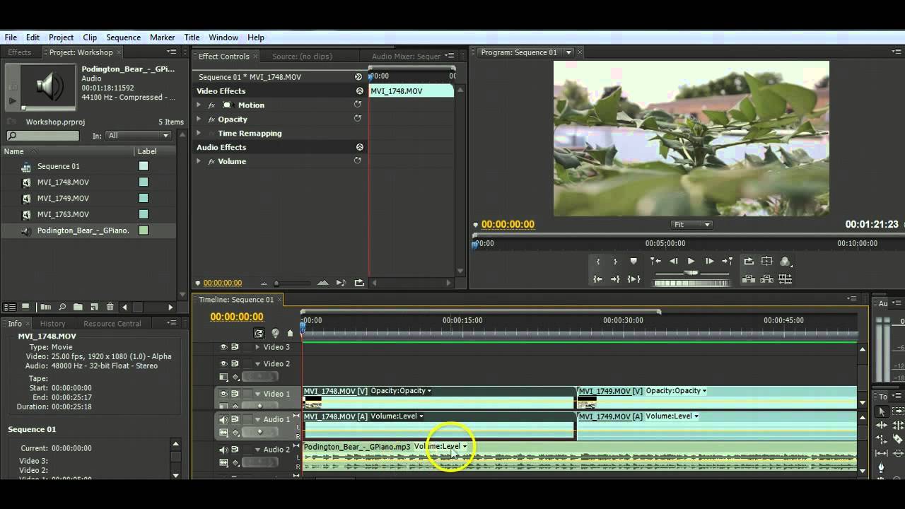 Introducing Adobe Premiere Pro CS4: Basic Video Editing Tutorial