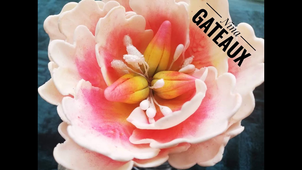وردة البيوني بعجينة السكر و بطريقة سهلة و مبسطة 🌸🌺