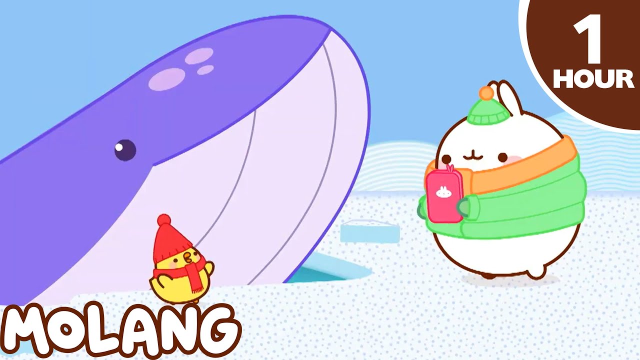Paus | Kartun Lucu Anak Anak | Molang Bahasa