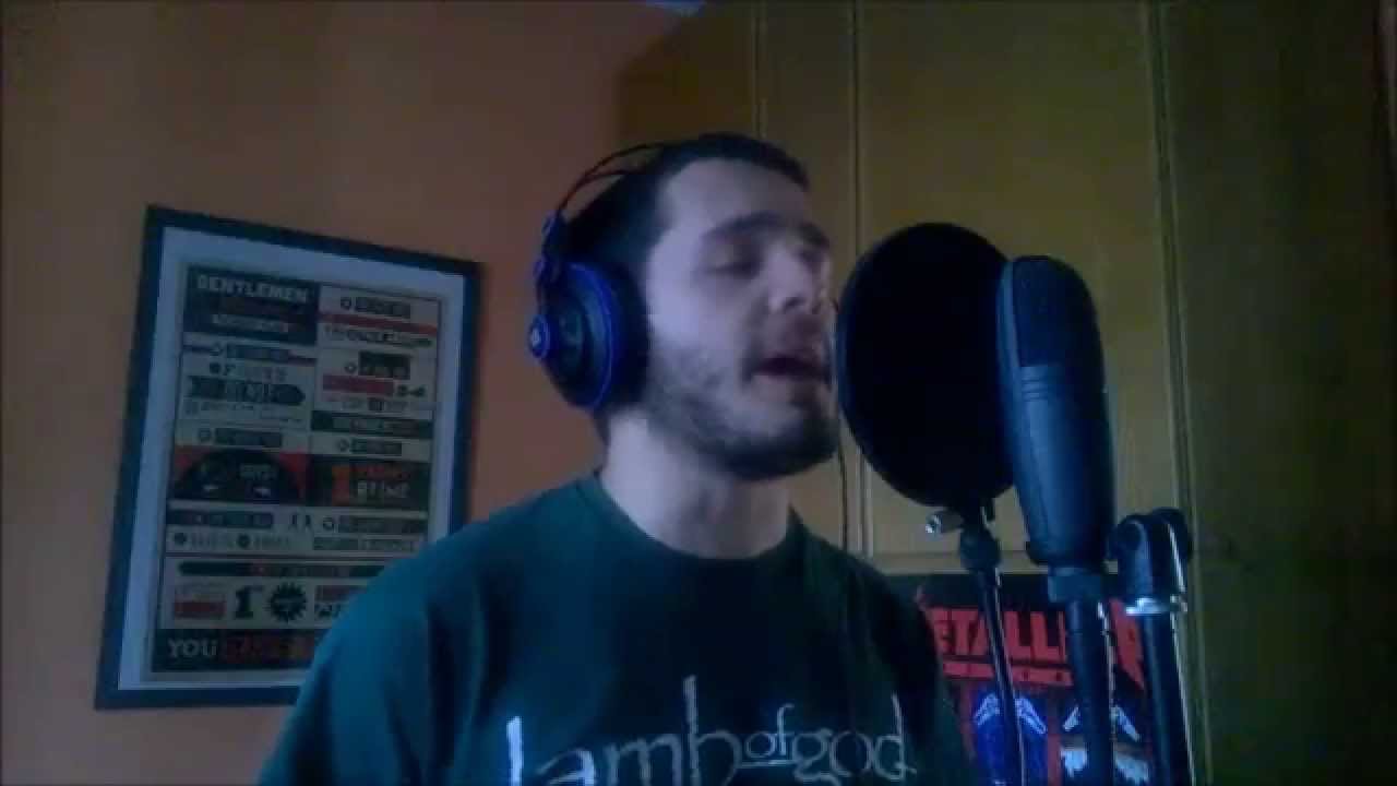 Tesseract - Perfection - Vocal Cover