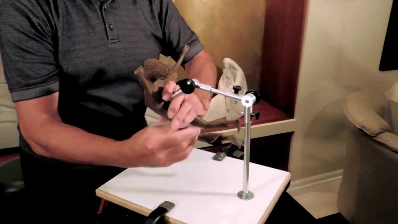 The Articulator Sculpture Stand