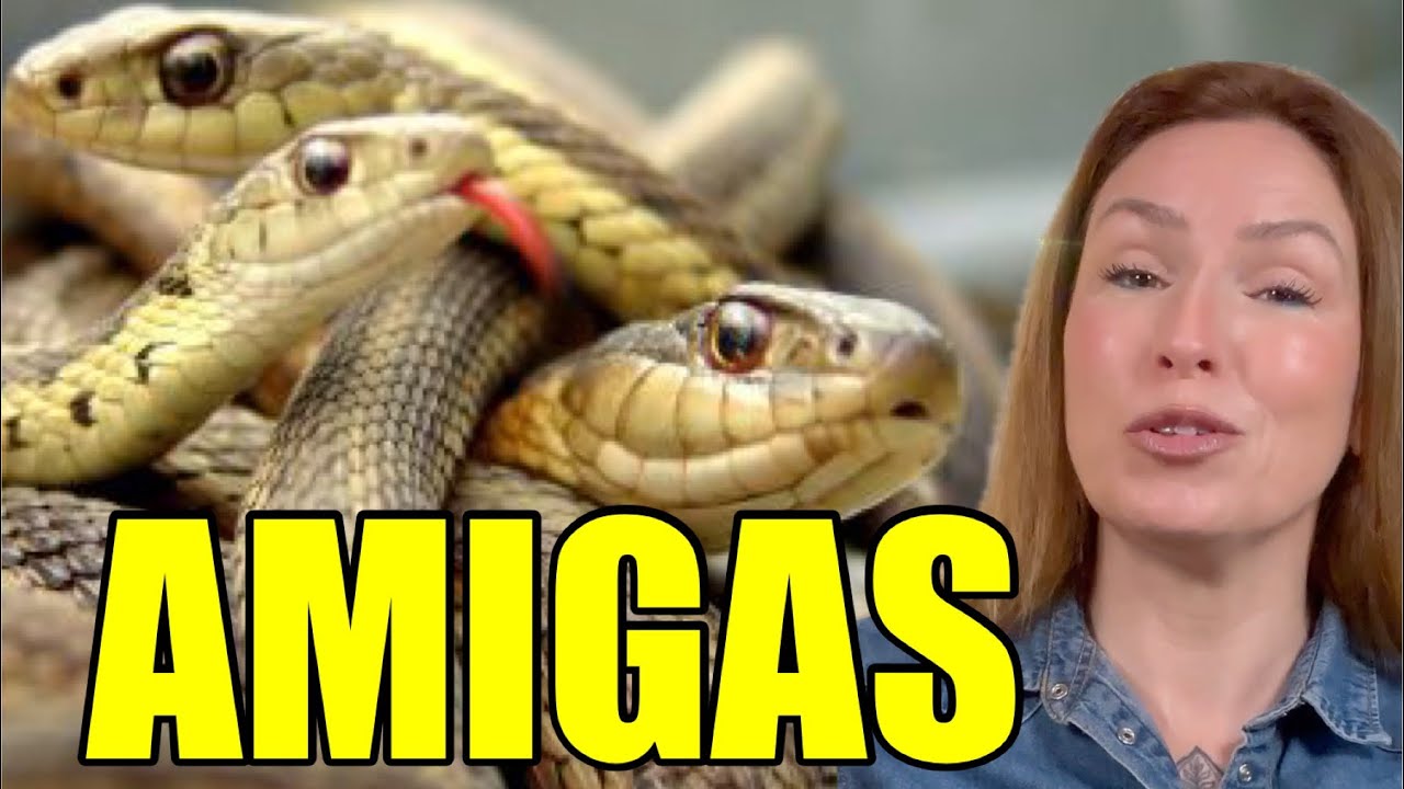 GRUPO DE AMIGAS=NIDO DE VÍBORAS