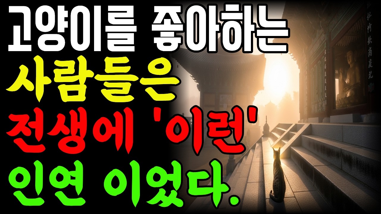 고양이를 좋아하는 사람들의 전생⚠️ 부처님이 밝힌 충격적인 인연| 사주풀이 | 금전운 | 철학 |