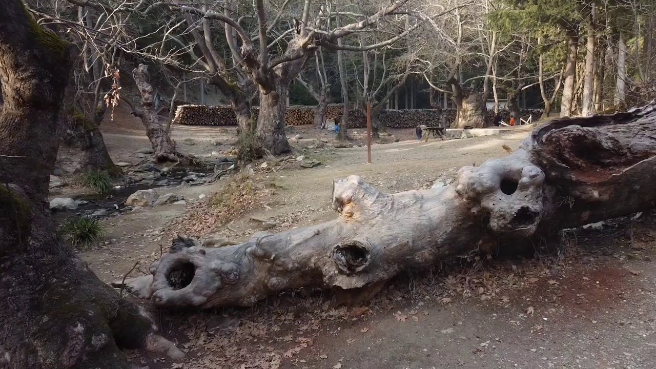 πλατανακια πανοραμα!!