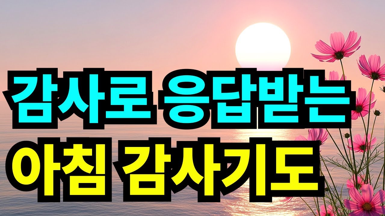 기도응답의 문을 여는 감사의 아침기도 | 하루를 시작하는 은혜로운  감사기도 | 1시간 기도