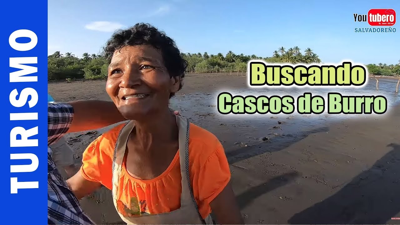 Kelly y su familia buscando cascos de burro por primera vez  isla Madre Sal  Bahía de Jiquilisco