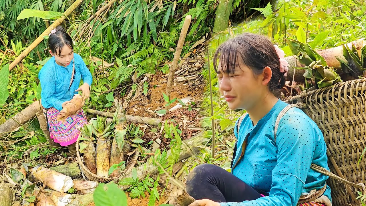 A Country Girl Harvests Giant Bamboo Shoots for Sale | Simple Forest Life and Survival Living
