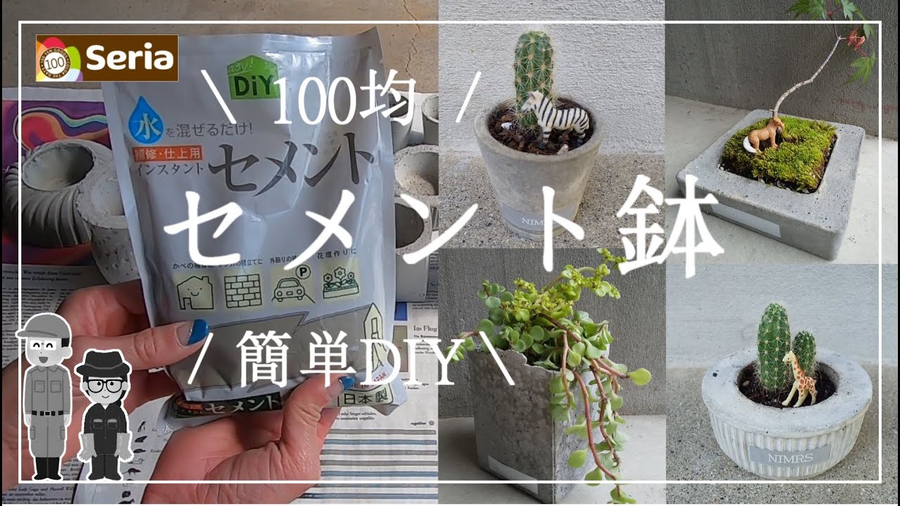 【セメントDIY】簡単！安！100円ショップに売られているセメントを使って、自分だけのオリジナル鉢作り！作り方、型の紹介、我が家のサボテン最強生命力！