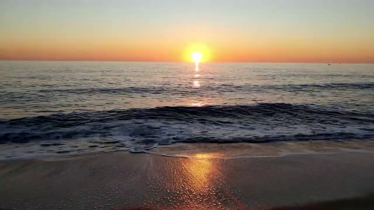 Sonido del Mar para Relajarse🌊Waves Sound 🦈Amanecer en la Playa🔆Sunrise in the Beach 🌞Salida del Sol