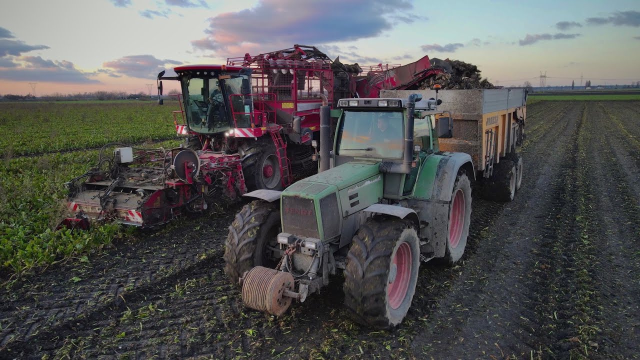 Buraki cukrowe 2020 | Holmer T4-40 & 2x Fendt + Joskin