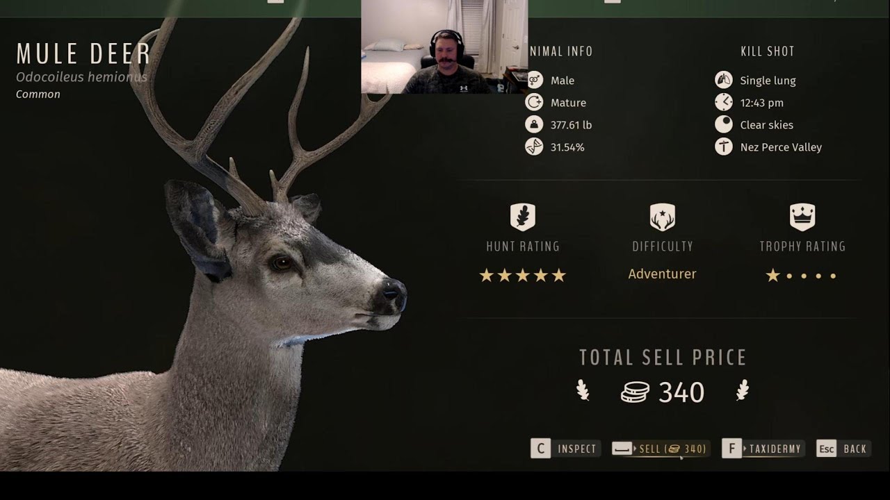 Way of the Hunter herd management Pt.1