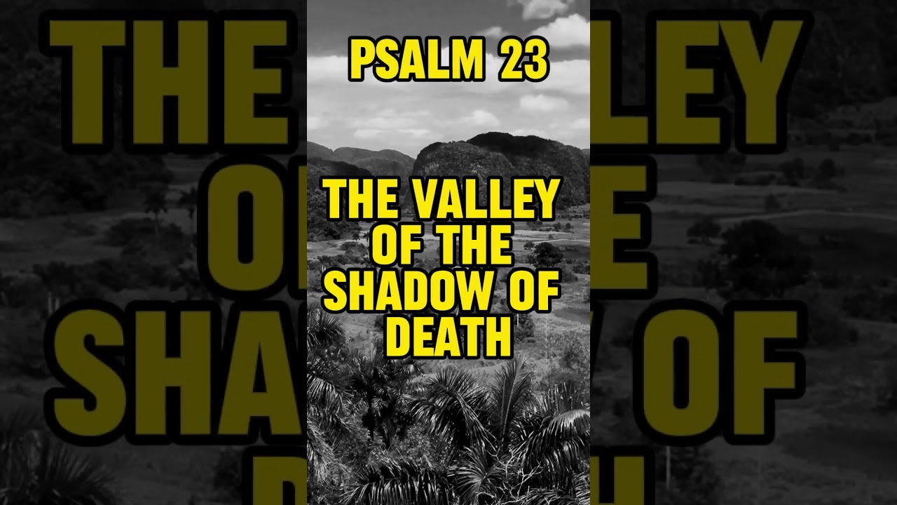 PSALM 23 #shorts #psalms
