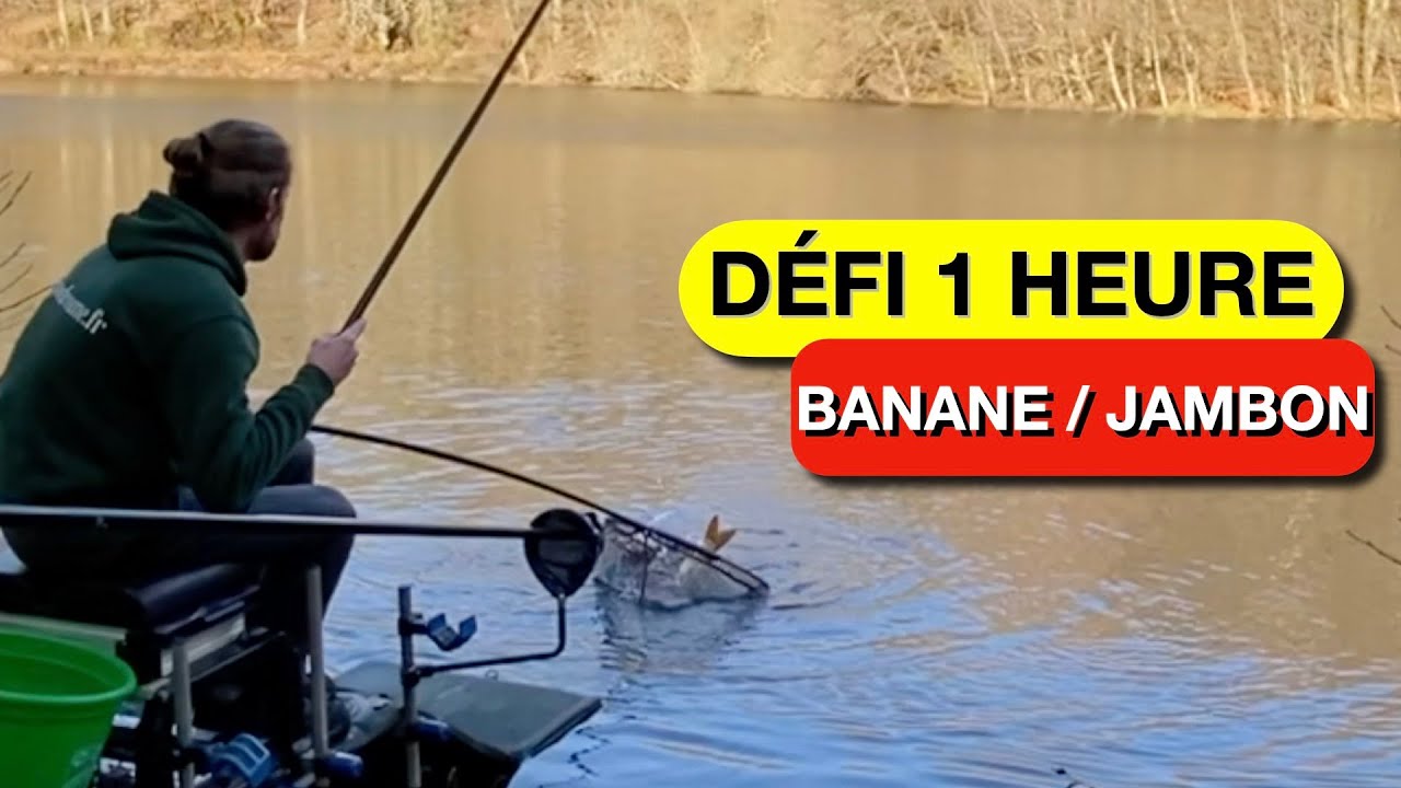 ⭕️ PECHE DE LA  CARPE  AU COUP EN HIVER